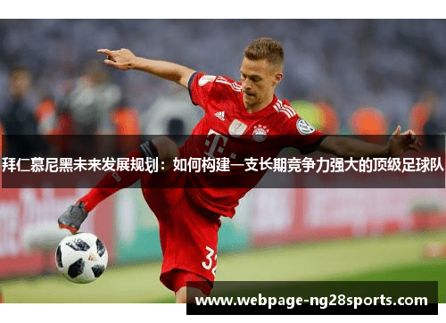 拜仁慕尼黑未来发展规划：如何构建一支长期竞争力强大的顶级足球队