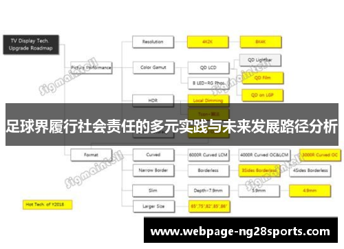 足球界履行社会责任的多元实践与未来发展路径分析 足球界履行社会责任的多元实践与未来发展路径分析