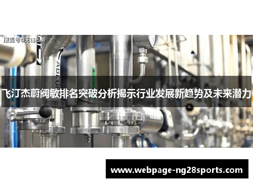 飞汀杰蔚阀敏排名突破分析揭示行业发展新趋势及未来潜力 飞汀杰蔚阀敏排名突破分析揭示行业发展新趋势及未来潜力