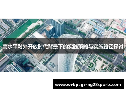 高水平对外开放时代背景下的实践策略与实施路径探讨